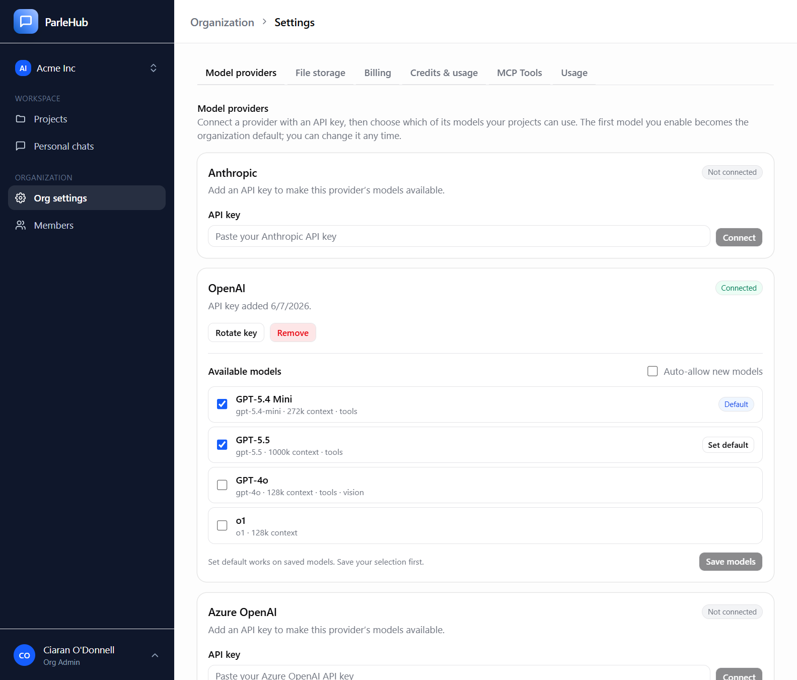 Screenshot of ParleHub's model connection interface